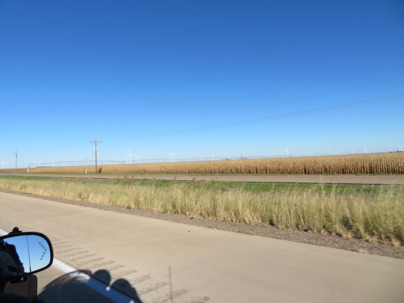 Corn Crop near Amarillo; Look closely and see the wind turbines in the background